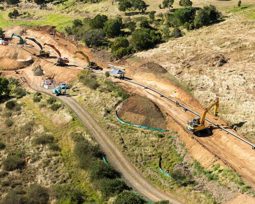 Image courtesy of Diona